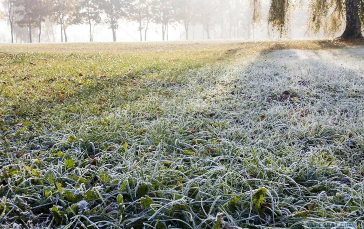 В Новгородской области предупредили о заморозках В Новгородской области предупредили о заморозках