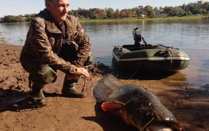 В Новгородской области поймали гигантского сома