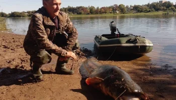В Новгородской области поймали гигантского сома