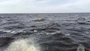 На озере Ильмень перевернулась лодка с двумя рыбаками