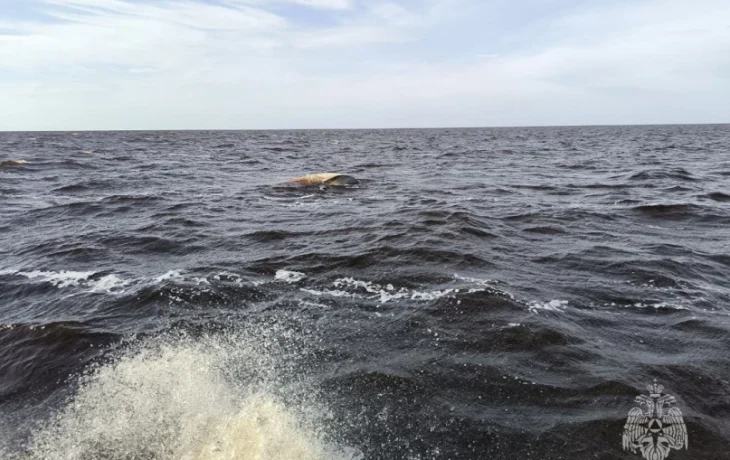 На озере Ильмень перевернулась лодка с двумя рыбаками