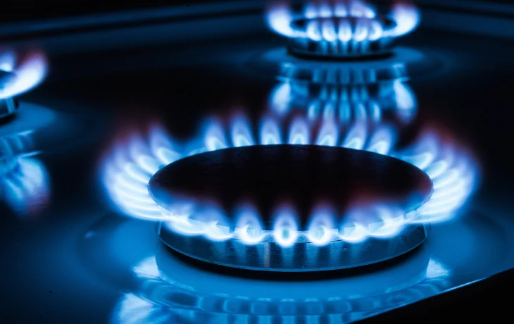 Предоставление субсидий на покупку и установку газоиспользующего оборудования в 2023 году Предоставление субсидий на покупку и установку газоиспользующего оборудования в 2023 году