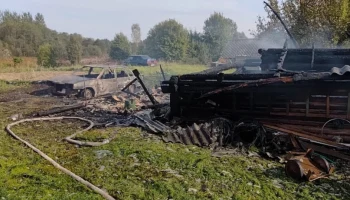 На пожаре в Мошенском округе погиб мужчина